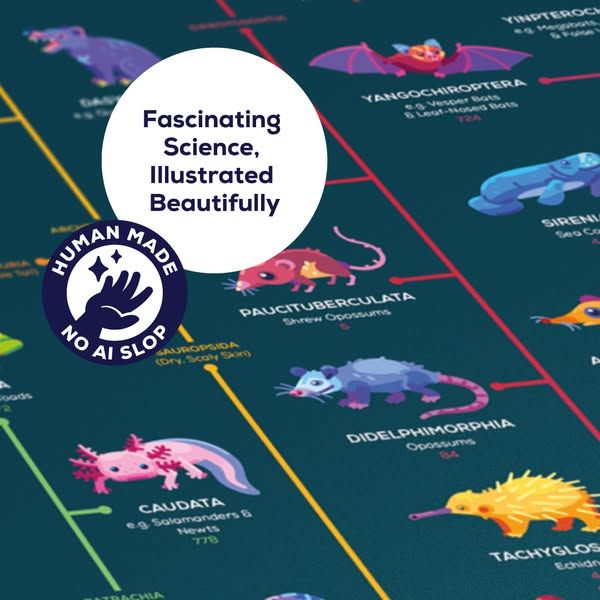 Kurzgesagt image Facebook ad: The same level of research and detail as a kurzgesagt video, now for your walls. Pick the… (9 of 12)