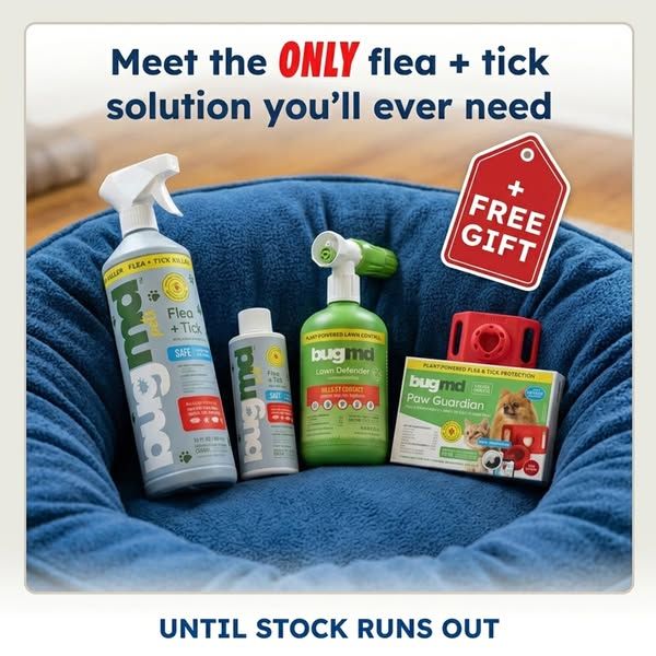Flea Secrets image Facebook ad: Your Pup's New BFF!