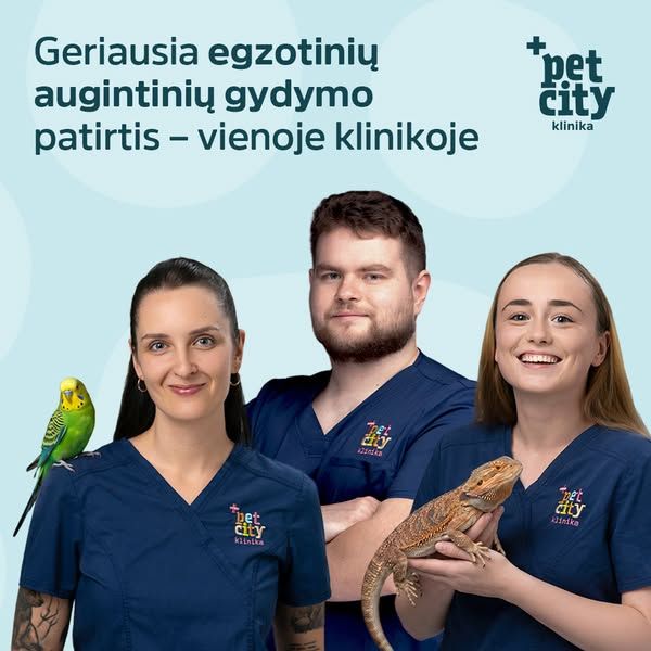 PetCity Lietuva image Facebook ad: PetCity veterinarijos klinika PC Ozas Vilniuje | PetCity.lt