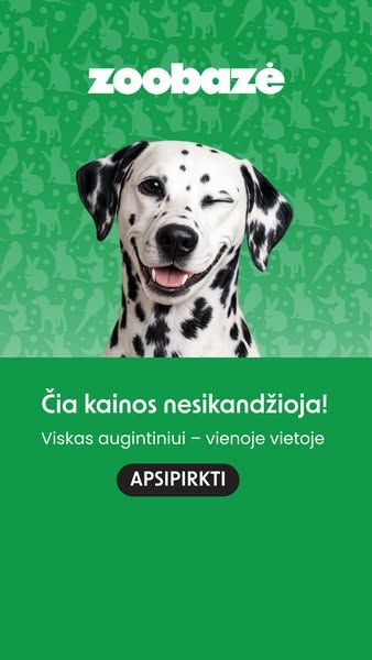 Zoobaze.lt image Facebook ad: Permokėti nebūtina 🐕