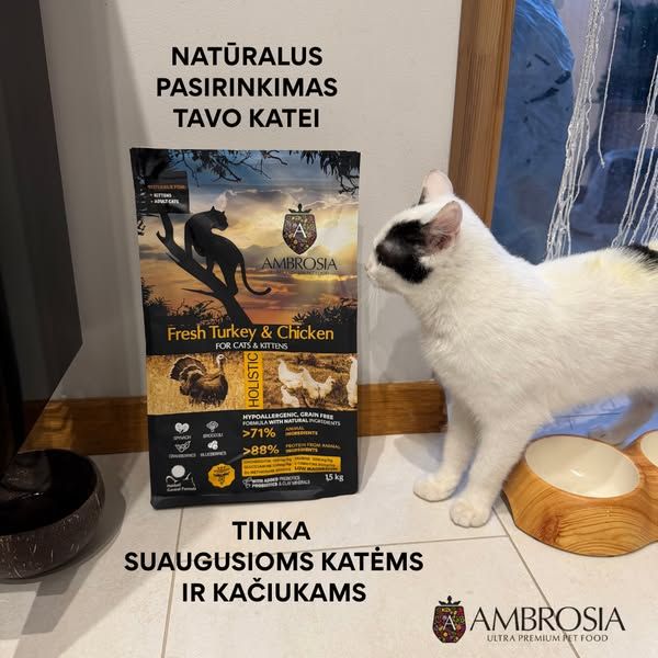 Alpha Zoo gyvūnų prekės image Facebook ad: Nuo pirmųjų kąsnelių iki suaugusios katės dubenėlio 🐱❤️