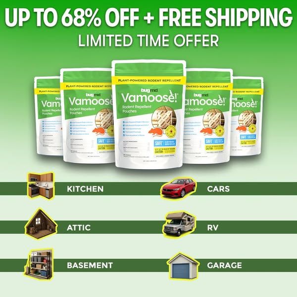Bug MD image Facebook ad: Total Home Rodent Protection 🏡