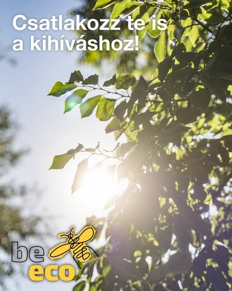 GARDENA image Facebook ad: A városi fáknak is jól jön egy kis segítség a nyári hőségben. 🌳💧 Ezért a GARDENA idén a…