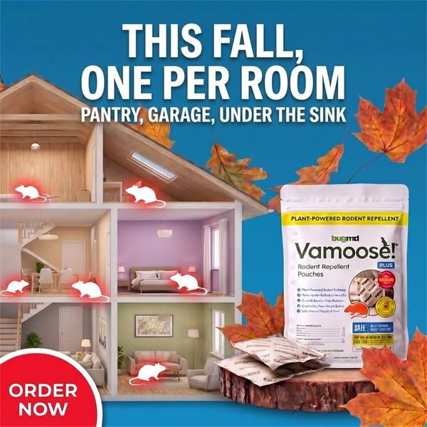 Vamoose Rodent Repellent image Facebook ad: Ditch Old Rodent Traps Today!