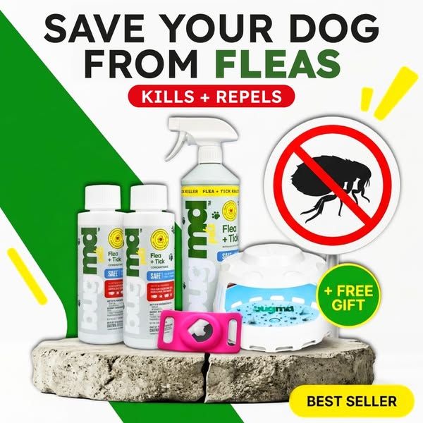 Flea Secrets image Facebook ad: New Customer Discount | While Supplies Last 📦