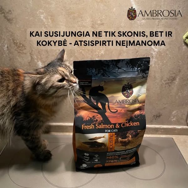 Alpha Zoo gyvūnų prekės image Facebook ad: Nuo pirmųjų kąsnelių iki suaugusios katės dubenėlio 🐱❤️