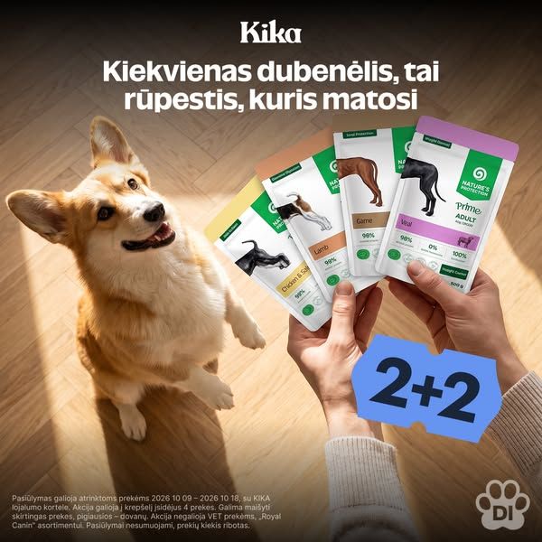 KIKA image Facebook ad: 💥 KIKAdieniai: 2+2 (3 of 3)
