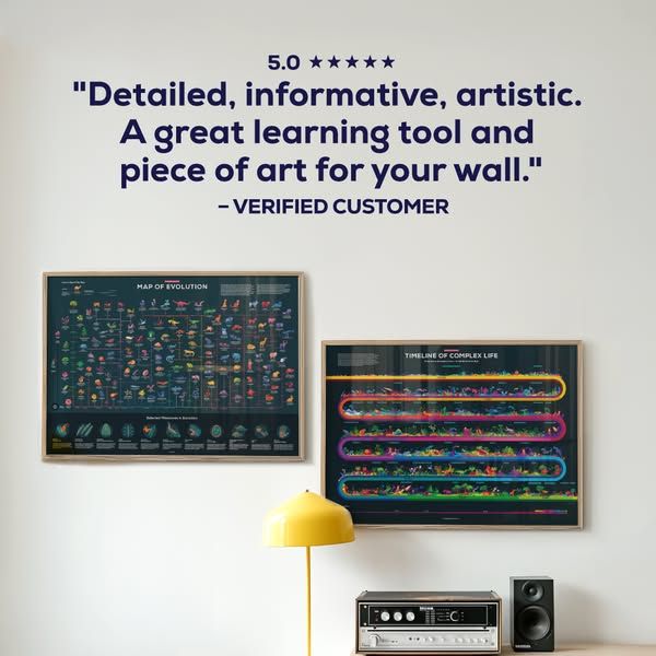 Kurzgesagt image Facebook ad: The same level of research and detail as a kurzgesagt video, now for your walls. Pick the… (10 of 12)