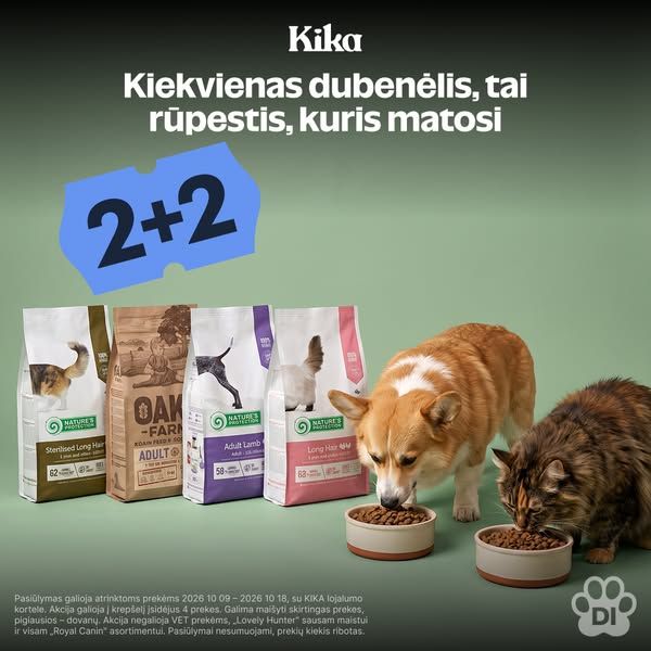 KIKA image Facebook ad: 💥 KIKAdieniai: 2+2 (3 of 3)