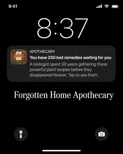 The Forgotten Home Apothecary