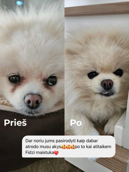 Fidži maistas gyvūnams image Facebook ad: Su Fidži atsikratysite alergijų!