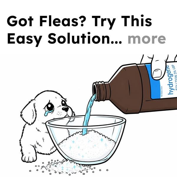 Flea Secrets image Facebook ad: Get Rid of Fleas Fast!