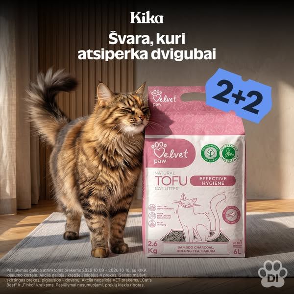 KIKA image Facebook ad: 💥 KIKAdieniai: 2+2 (3 of 3)
