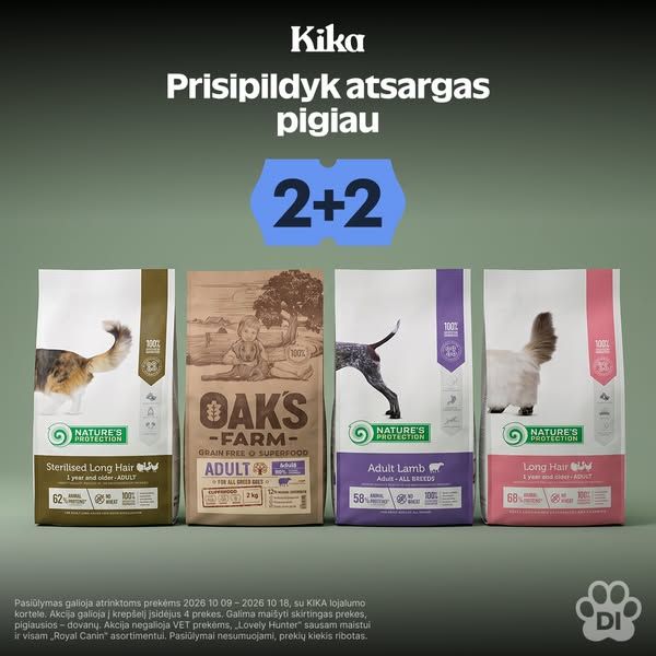 KIKA image Facebook ad: 💥 KIKAdieniai: 2+2 (3 of 3)