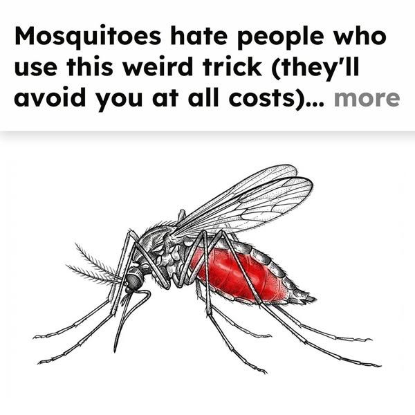 Mosquito Secrets image Facebook ad: Keep Mosquitos Away (MUST READ)