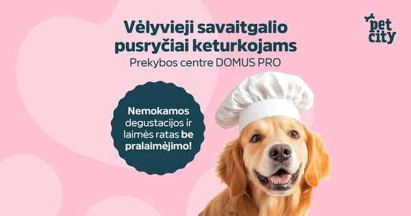 PetCity Lietuva image Facebook ad: Vėlyvieji savaitgalio pusryčiai keturkojams DOMUS PRO
