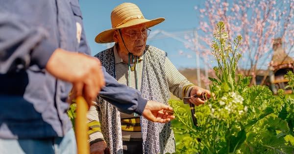 Bloomberg image Facebook ad: Paid partnership with Codeage