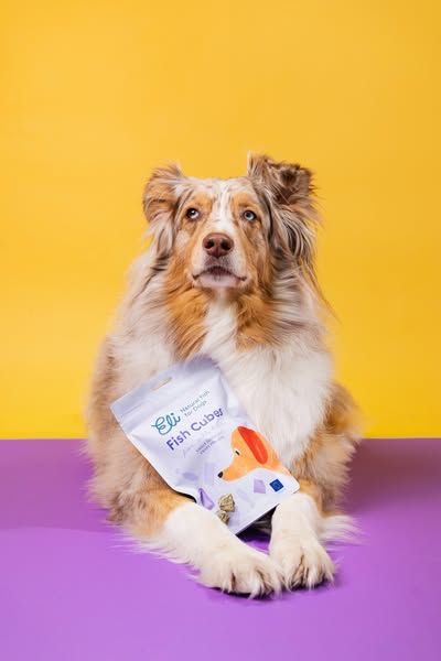 Laiminga uodega - veterinarijos vaistinė I gyvūnų prekės image Facebook ad: Akcija galioja 09.02–10.01