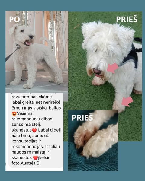 Fidži maistas gyvūnams image Facebook ad: ALERGIJĄ GALIMA SUVALDYTI