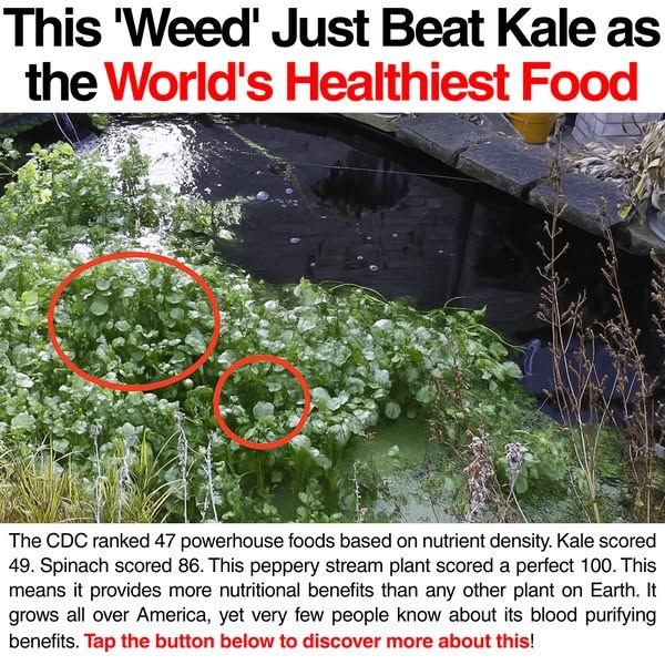 The Forager's Guide to Wild Foods
