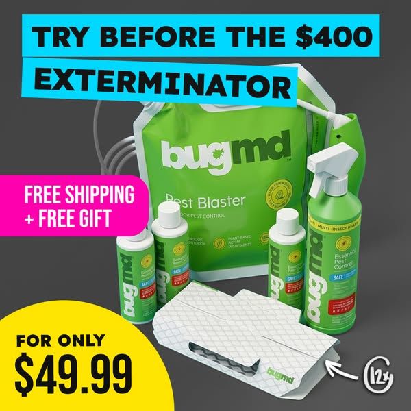 Bug MD image Facebook ad: 🎁 Free Gift + Free Shipping!