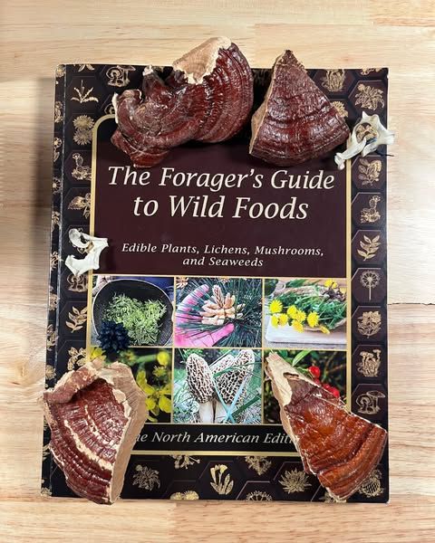 The Forager's Guide to Wild Foods