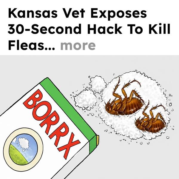Flea Secrets image Facebook ad: Get Rid of Fleas Fast!