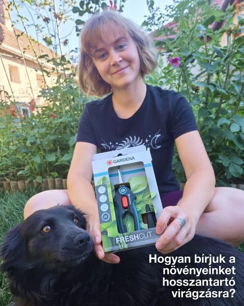GARDENA image Facebook ad: Szeretnéd, ha a kerted még ősszel is tele lenne virágokkal? 🌸 Kitti most megmutatja,…