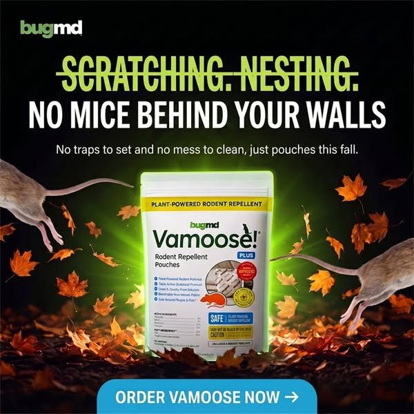 Vamoose Rodent Repellent image Facebook ad: Ditch Old Rodent Traps Today!