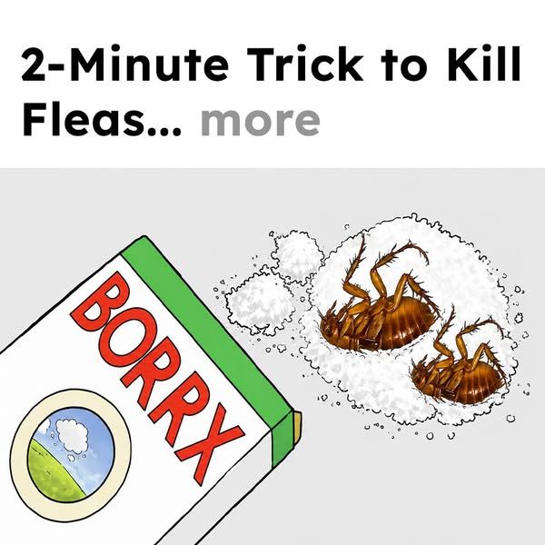 Flea Secrets image Facebook ad: Get Rid of Fleas Fast!