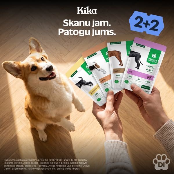 KIKA image Facebook ad: 💥 KIKAdieniai: 2+2 (3 of 3)