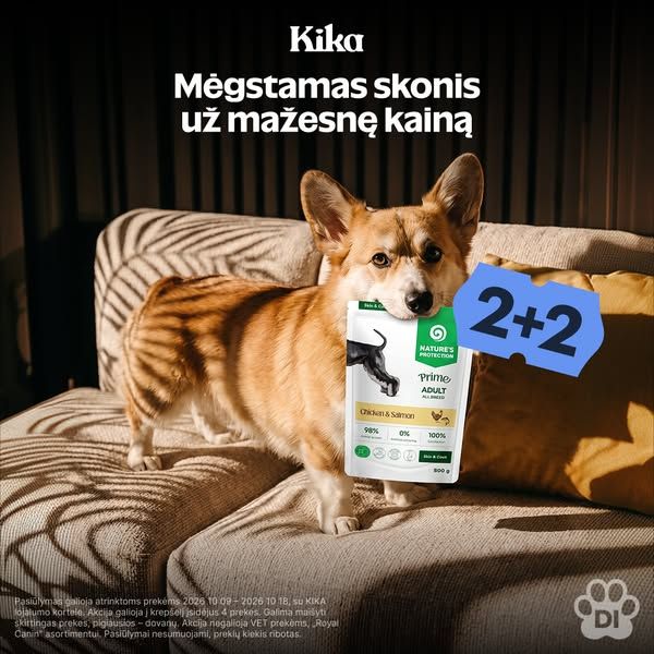 KIKA image Facebook ad: 💥 KIKAdieniai: 2+2 (3 of 3)