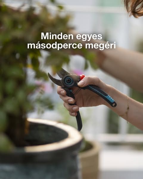 GARDENA image Facebook ad: Néha soknak és fáradságosnak tűnhet a növények gondozása. Aztán megjelenik egy új hajtás,…