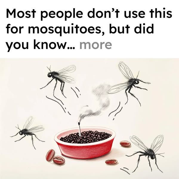 Mosquito Secrets image Facebook ad: Keep Mosquitoes Away (A Must Read)