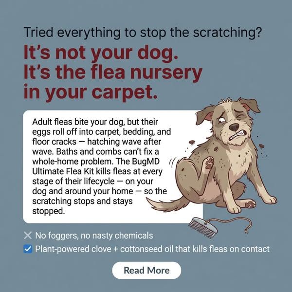 Flea Secrets image Facebook ad: Get Rid of Fleas On Your Pet (MUST READ)